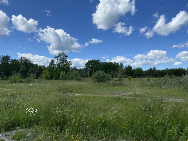 Tawas Drive-In Theatre - June 17 2022 Photo
